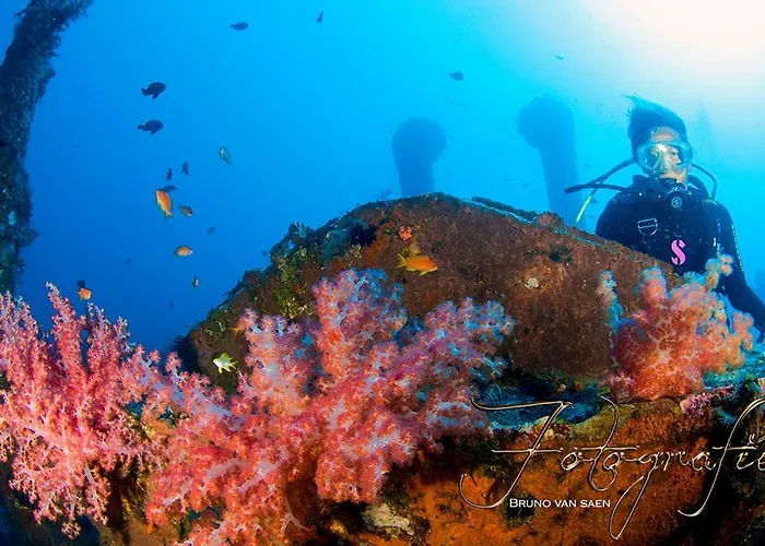 Relax Bali Resort, Diving & Spa, Ocean Front Resort 4*